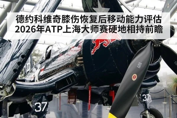 德约科维奇膝伤恢复后移动能力评估 2026年ATP上海大师赛硬地相持前瞻